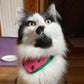 Watermelon Cat Bandana- Support a Family in Gaza!